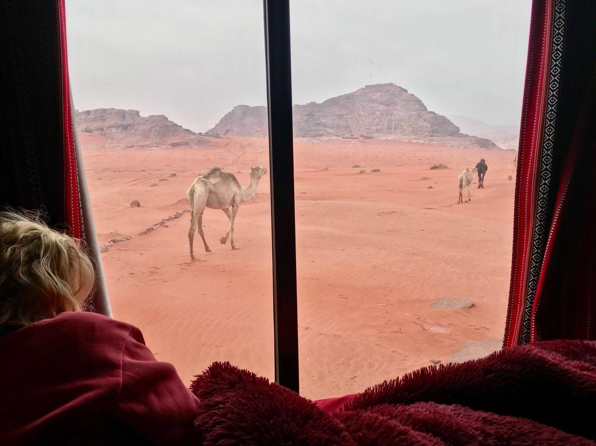 Wadi Rum Starlight Camp Eksteriør billede
